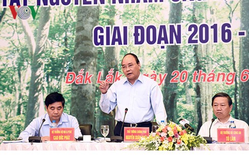 Premierminister Nguyen Xuan Phuc: Tay Nguyen muss Wälder aufforsten - ảnh 1